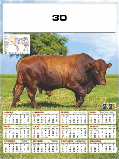 CALENDÁRIO POSTER 30