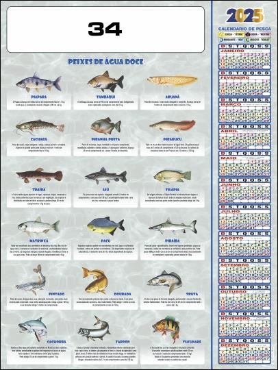 CALENDÁRIO POSTER 34