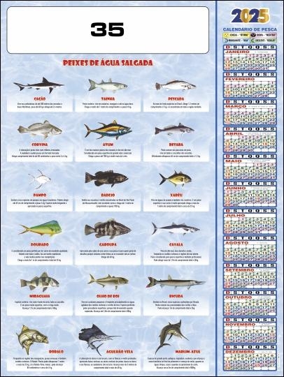 CALENDÁRIO POSTER 35