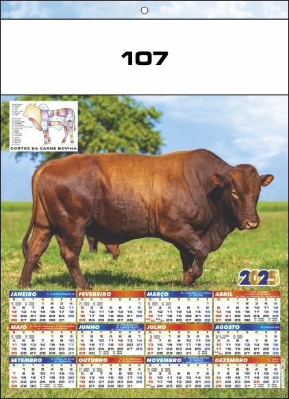 REF. 107