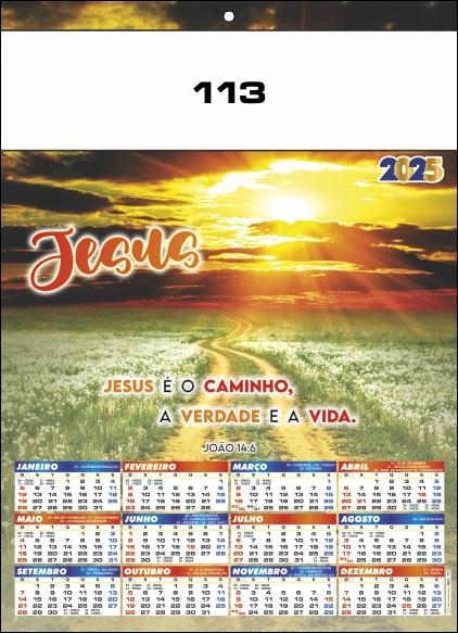 REF. 113