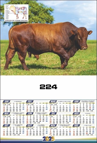 REF. 224